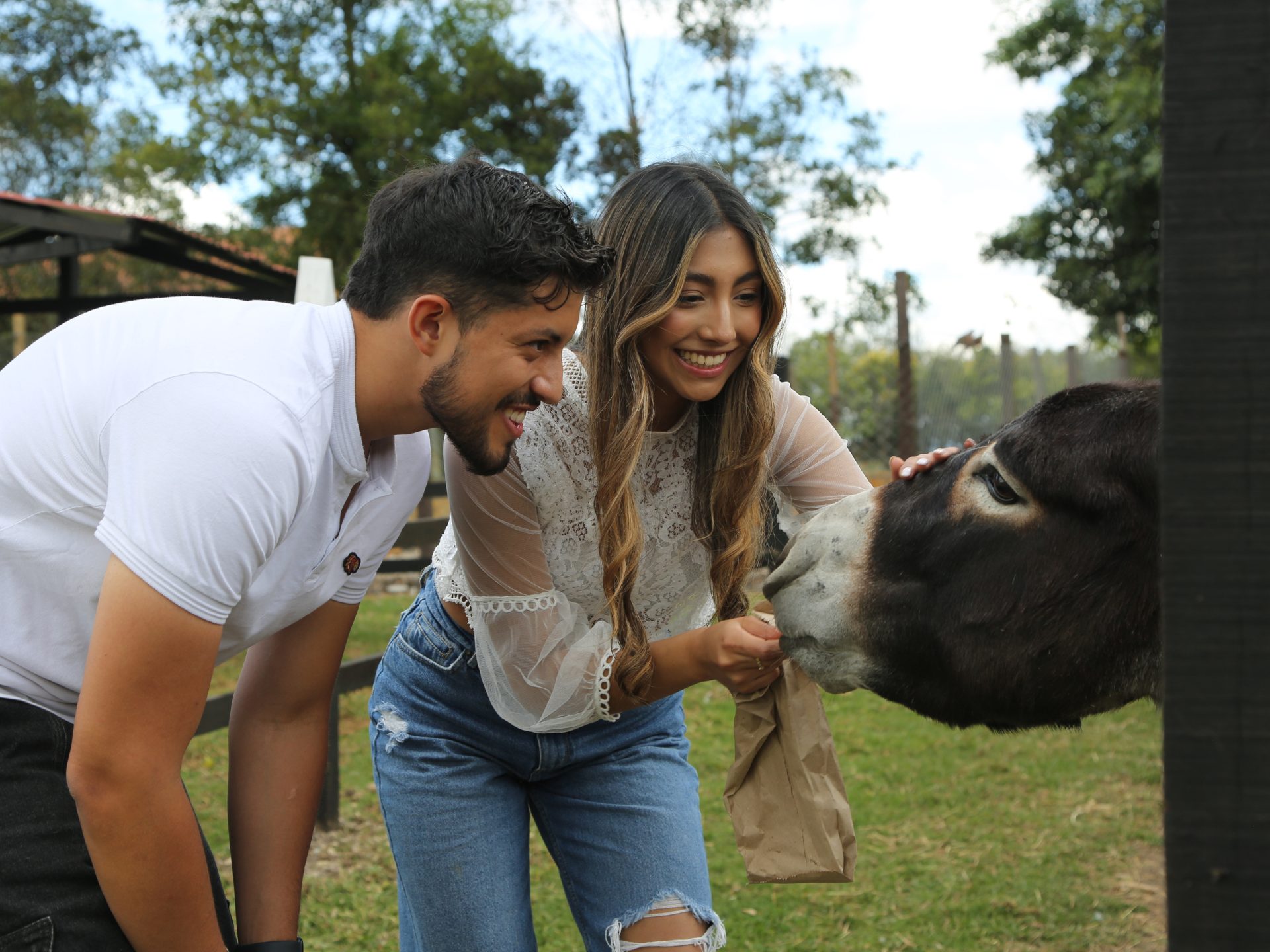 Eventos y Experiencias 11 18